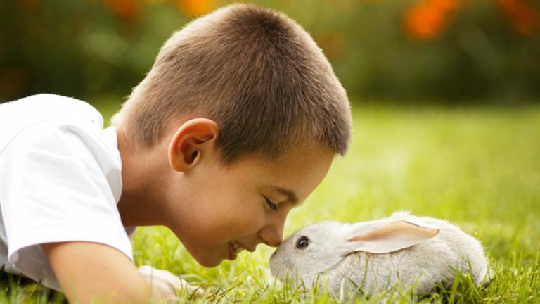 Niño tocando naríz de conejo con su nariz.